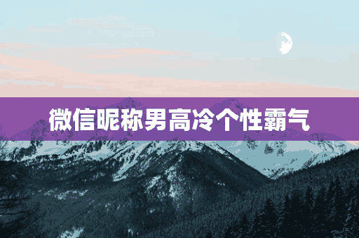 微信昵称男高冷个性霸气(微信昵称男高冷个性霸气两个字)